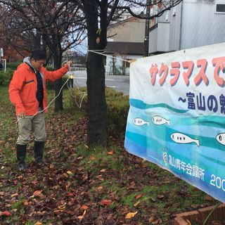 サクラマス放流の準備をする吉田豊史 サクラマス放流の準備をする吉田豊史